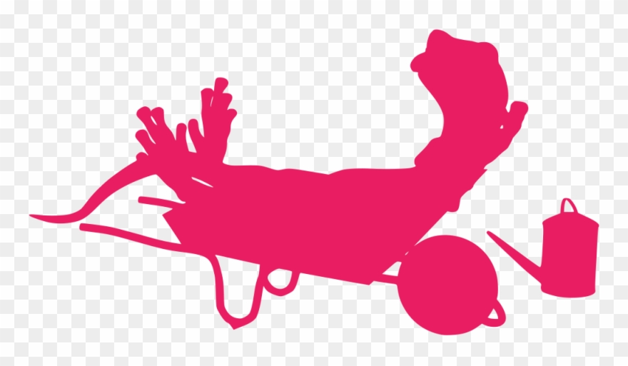 Info Clipart
