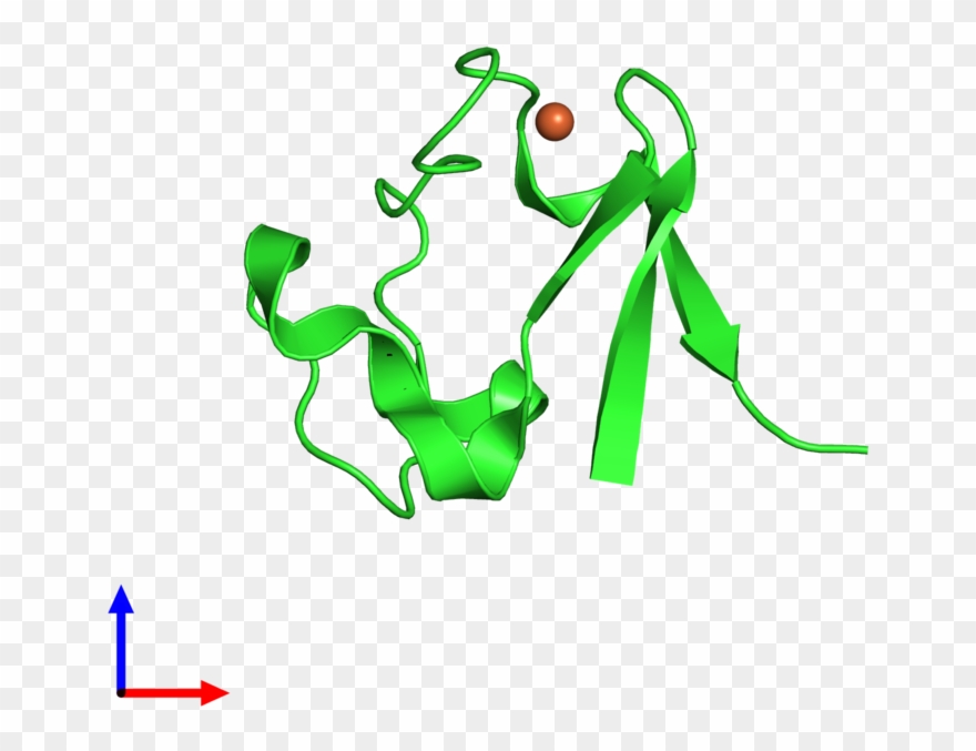 Pdb 1cad Coloured By Chain And Viewed From The Front Clipart
