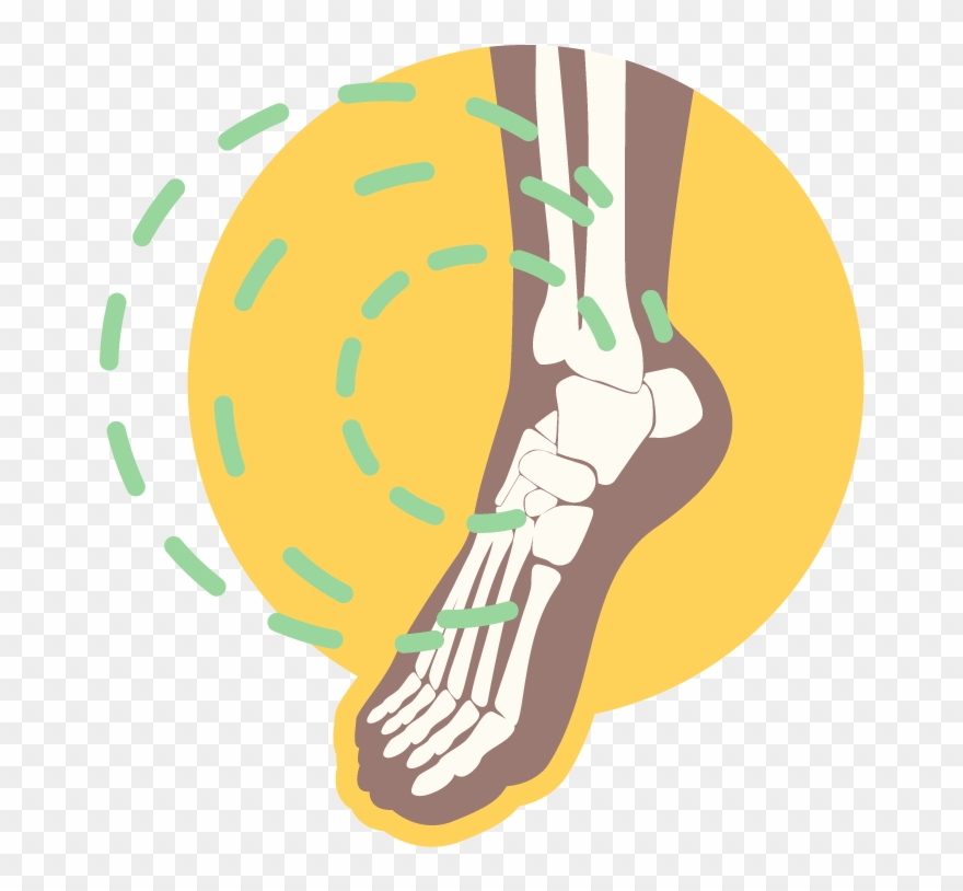 Foot Clipart Ankle Joint - Png Download