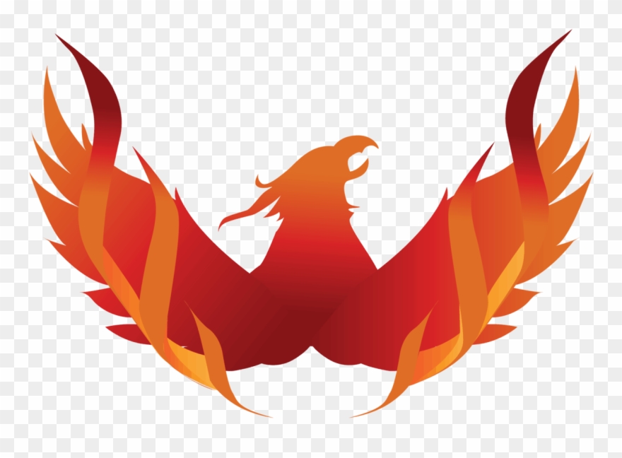 Free 12 Week Program Clipart