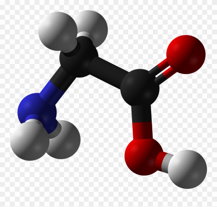 Runner Up Primary Inhibiting Neurotransmitter Clipart