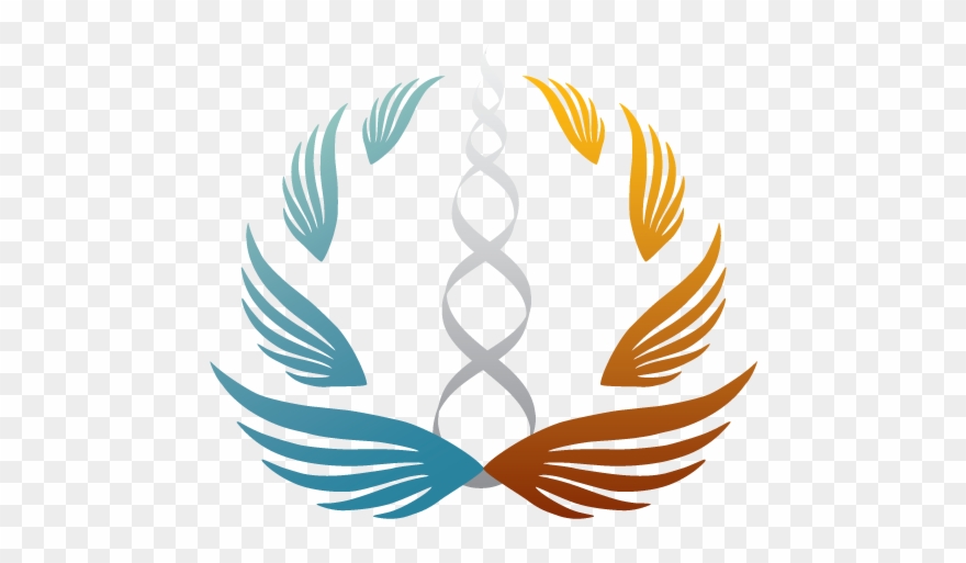 Bww Logo Color Clipart