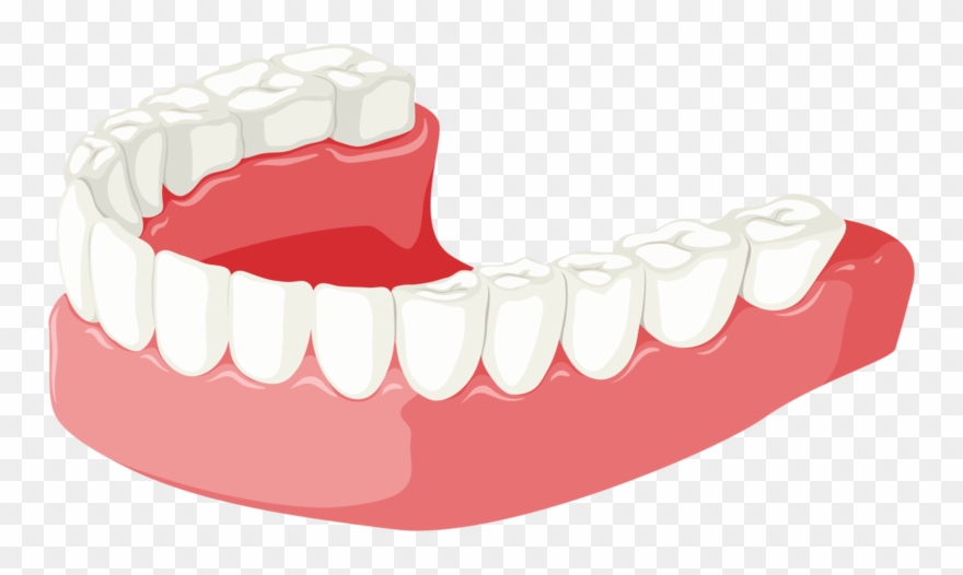 Lower Jaw Clipart