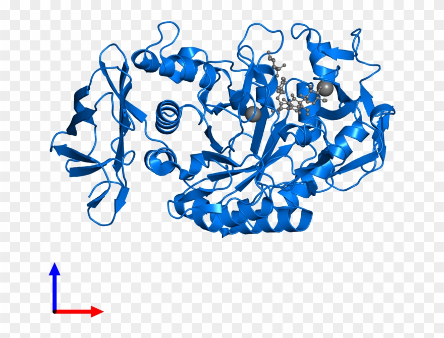 <div Class='caption-body'>pdb Entry 1ppi Contains 1 Clipart