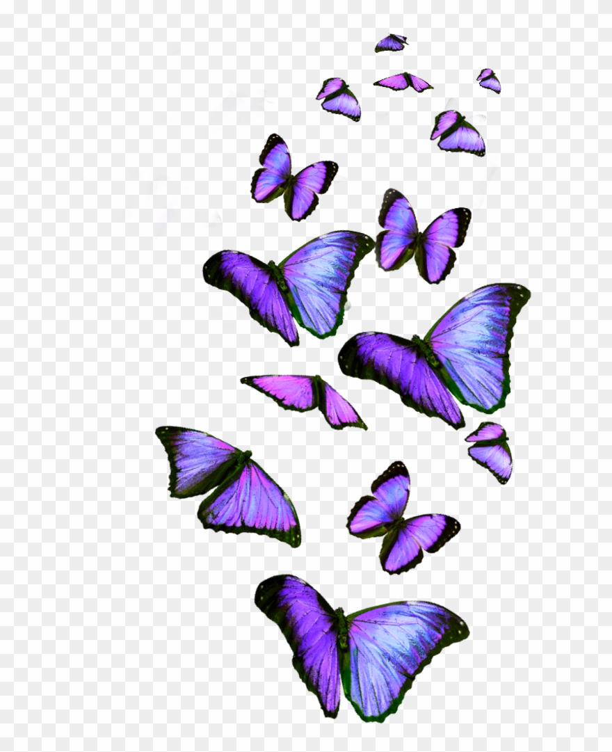 Lavender Butterfly Clip Art - Png Download