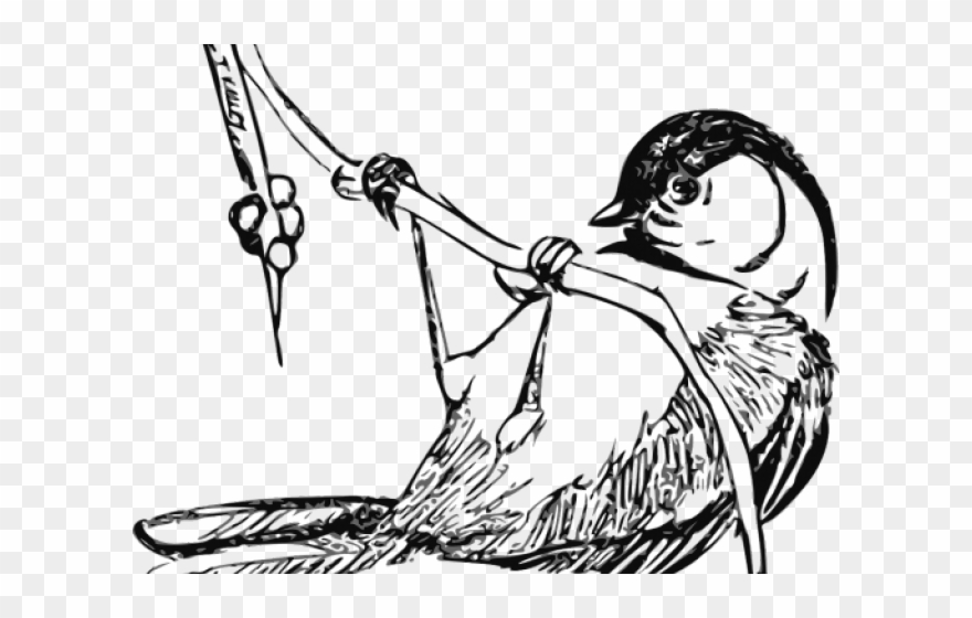 Wren Clipart Black And White - Png Download