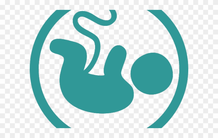 Womb Clipart Pregnant Baby - Png Download