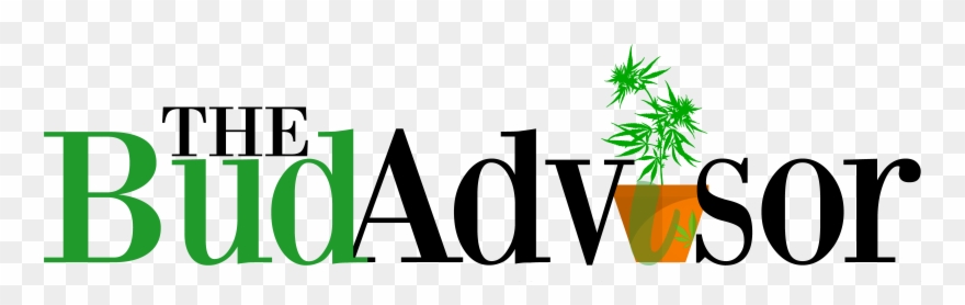 Logo Dark Logoo Light Logo Clipart