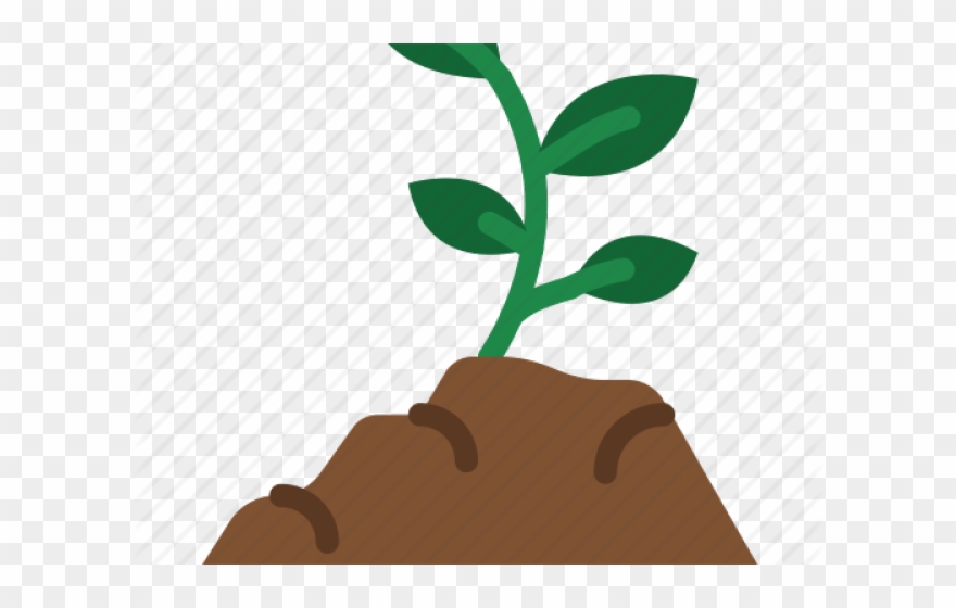 Seed Clipart Rich Soil - Png Download