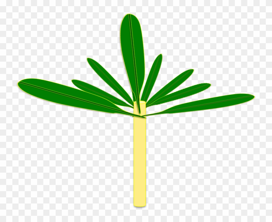 Soil Building Techniques Part Clipart