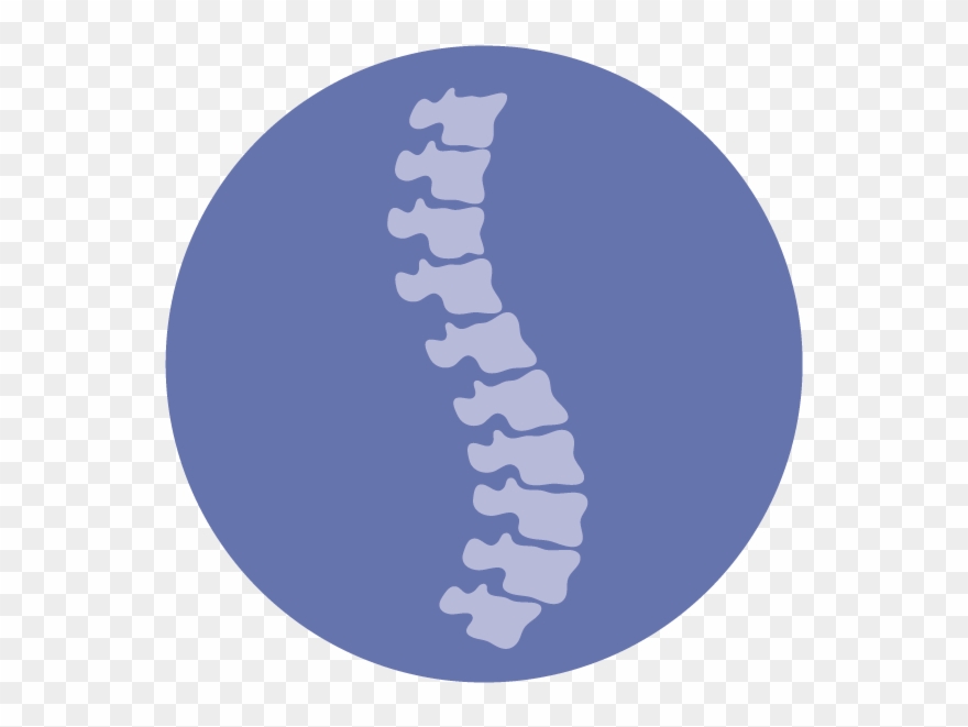 Physical Therapy For Neck And Low Back Pain Clipart