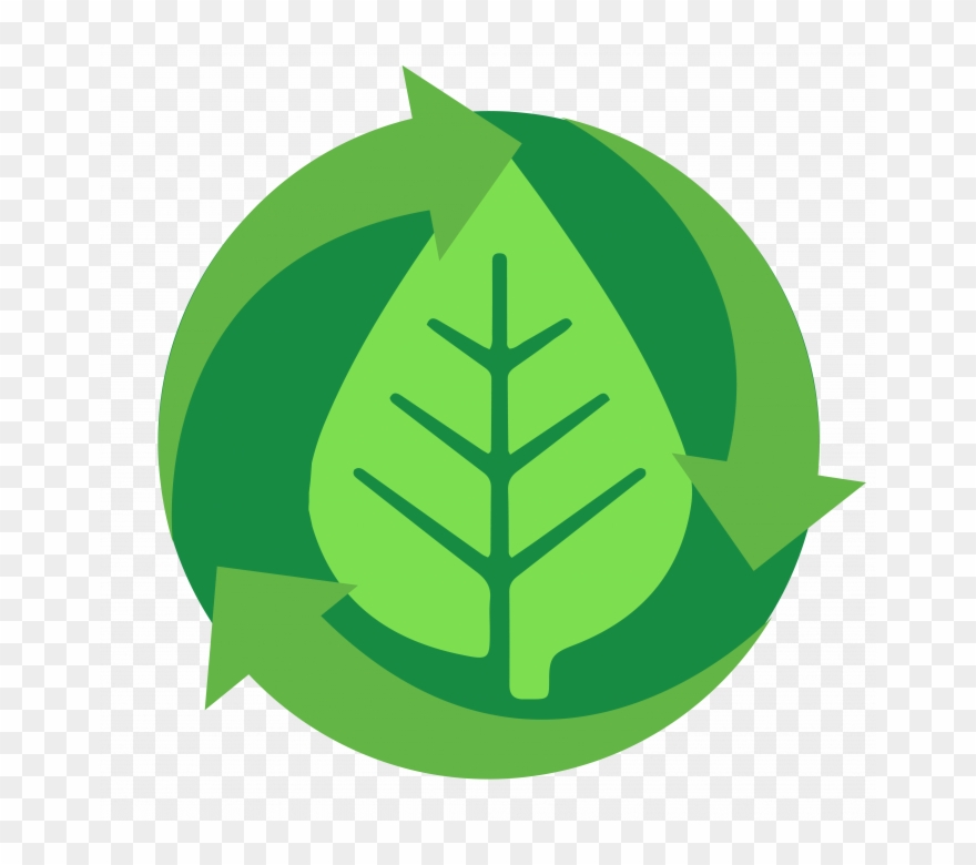 Videos Clipart
