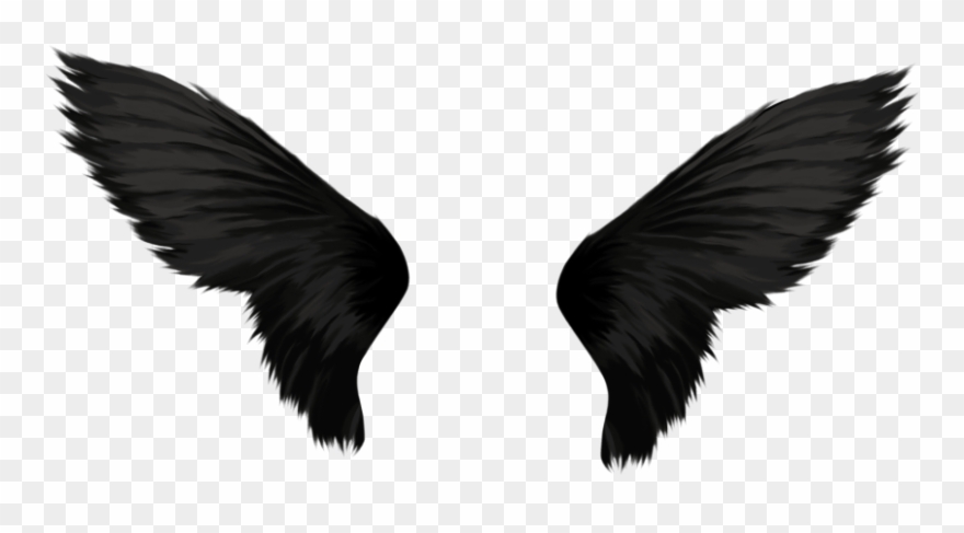 Download Black Wings Png Images Background Clipart