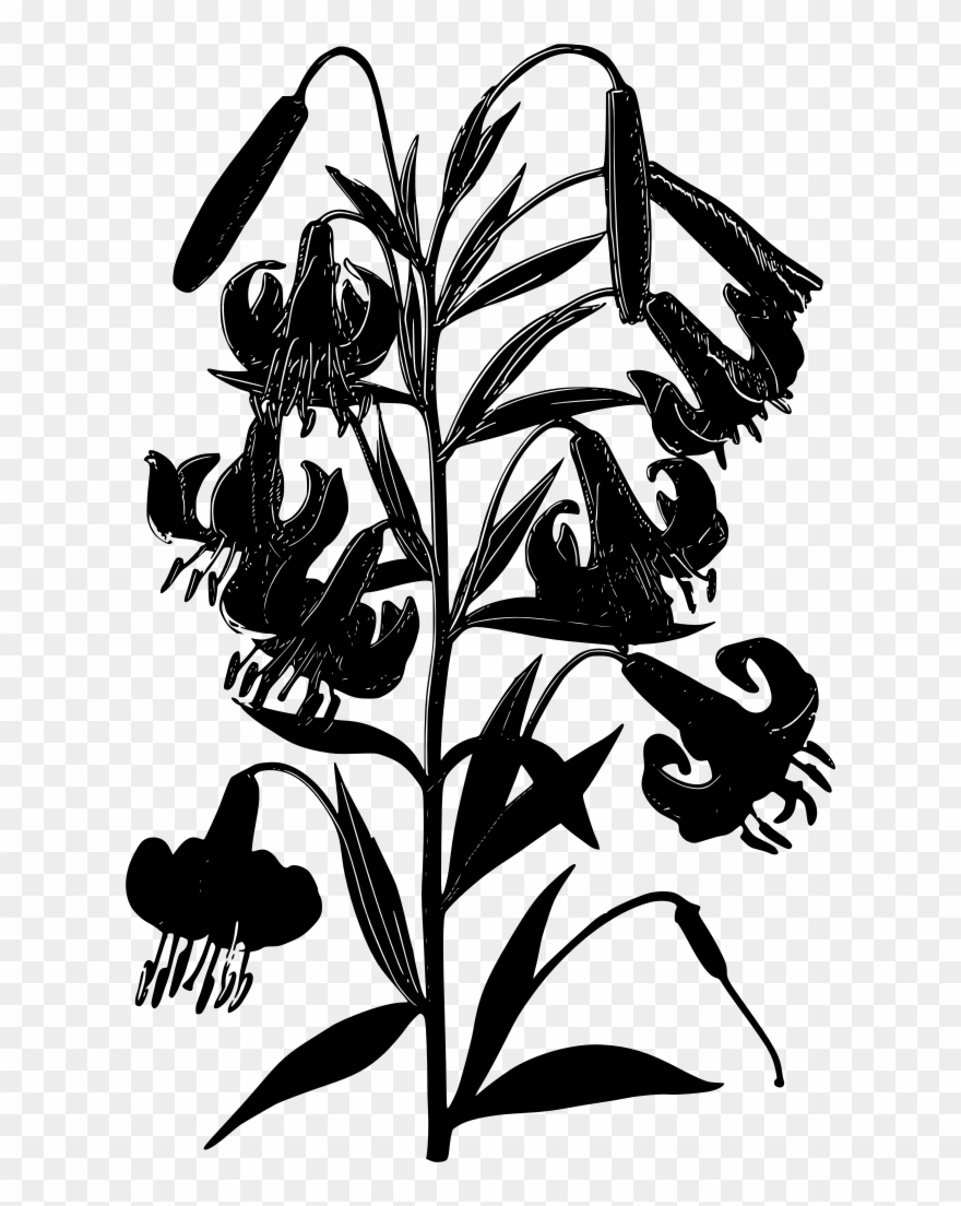 Info Clipart