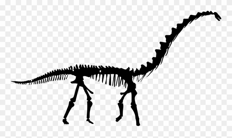 Silhouette Of Dinosaur Skeleton Clipart - Png Download