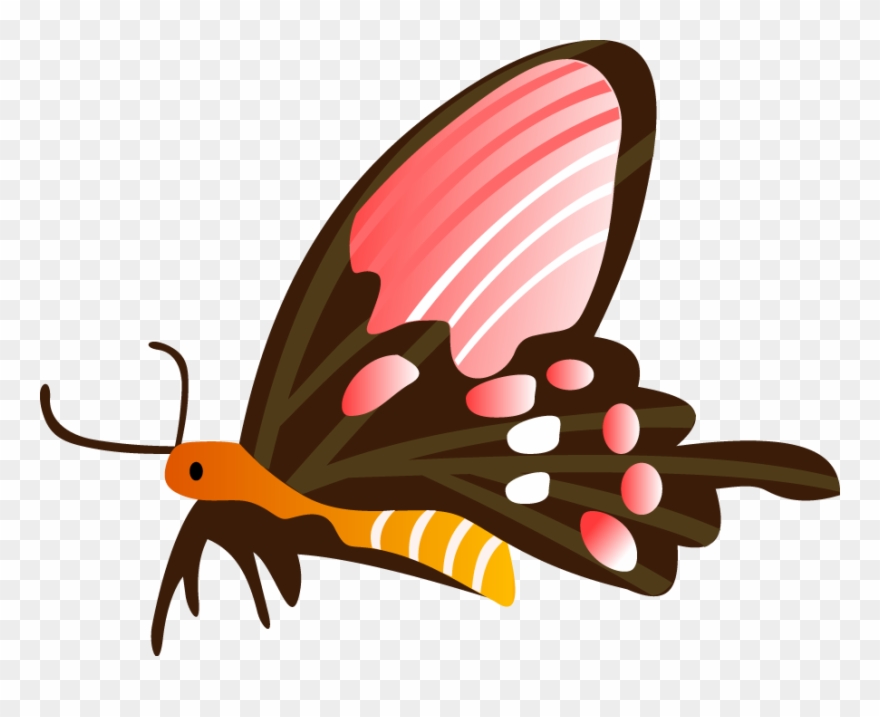 Free Vector Free Vector Butterfly Free Vector Free Clipart