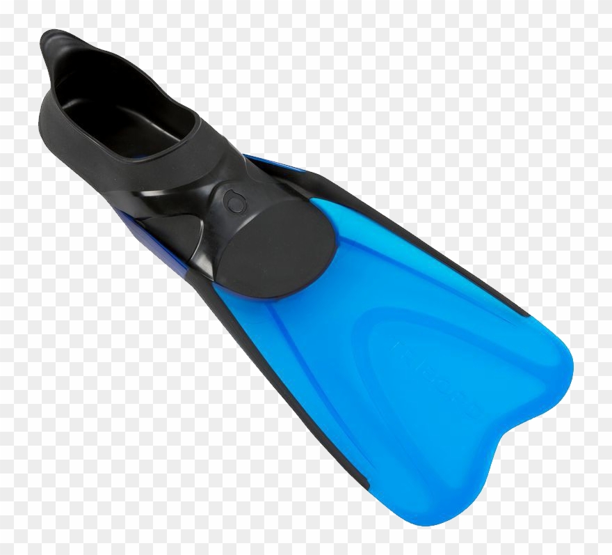 Flippers Png Clipart