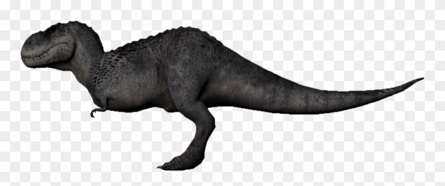 Drawn Tyrannosaurus Rex V Rex Clipart