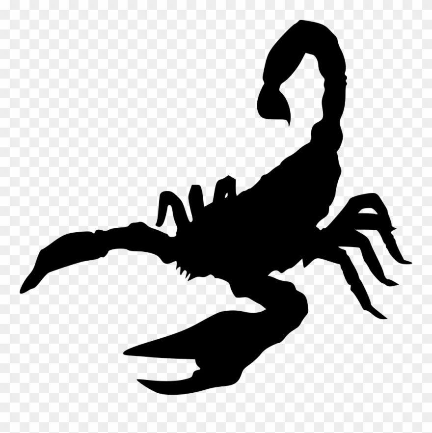 Drawn Scorpion Svg Clipart