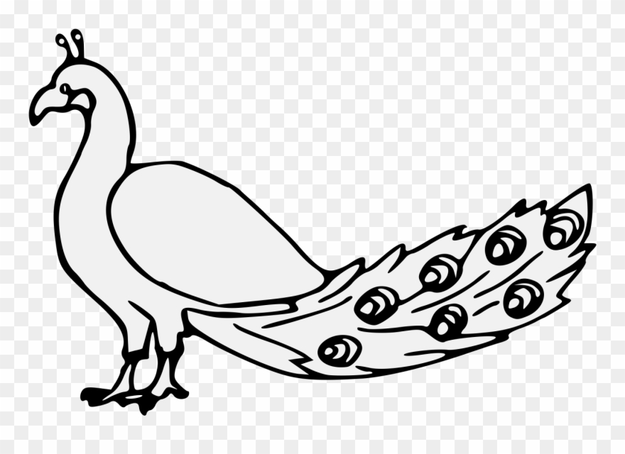 Pdf Clipart