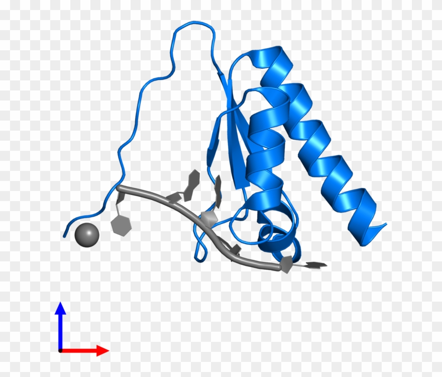 <div Class='caption-body'>pdb Entry 5wwx Contains 1 Clipart