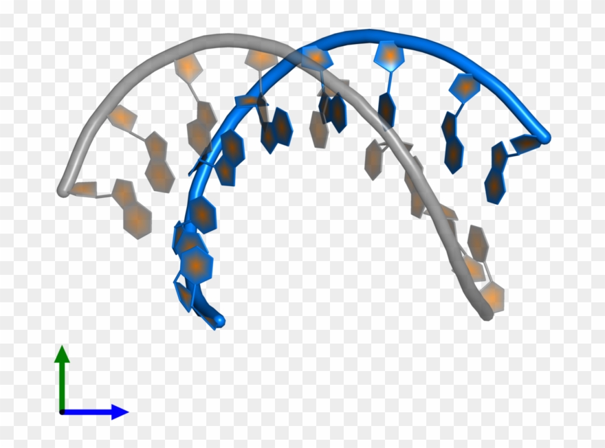 <div Class='caption-body'>pdb Entry 1oka Contains 1 Clipart