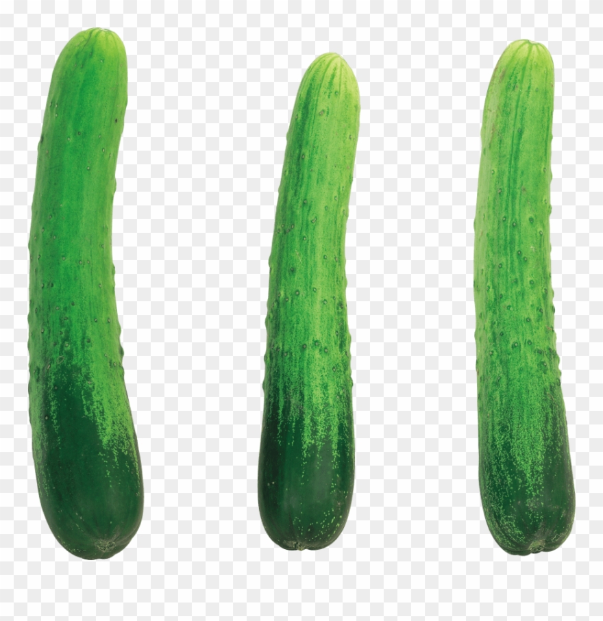 Download Cucumber Png Images Background Clipart