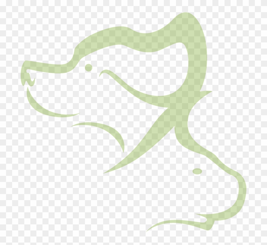 Veterinary Surgery Frequently Asked Questions Clipart