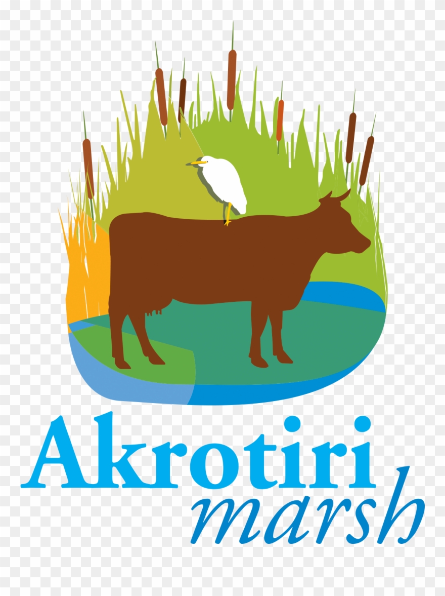 Project Activities - Akrotiri Marsh Clipart