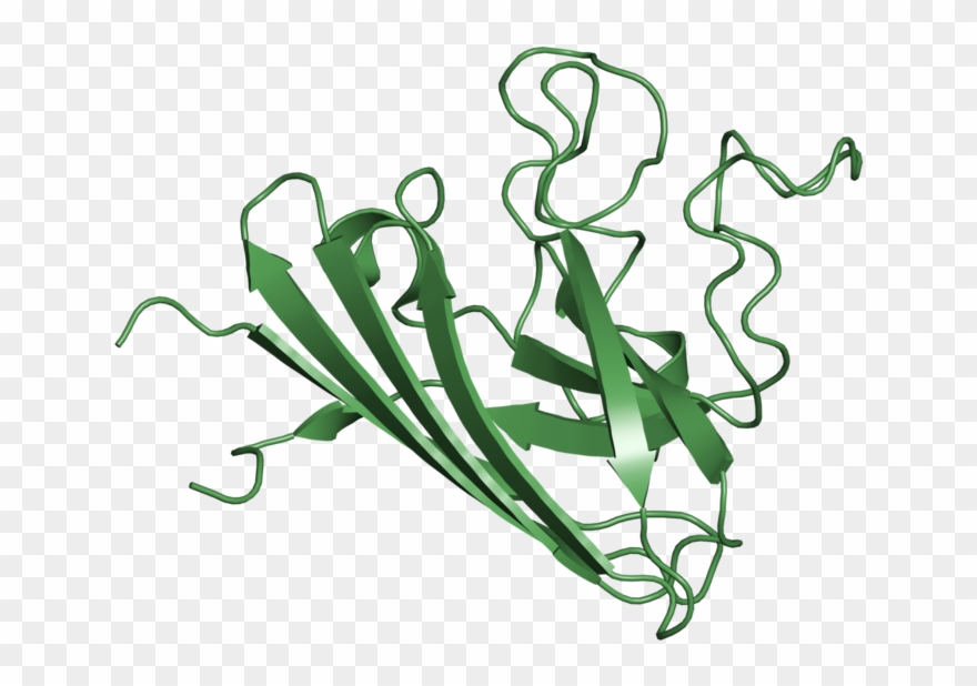 <div Class='caption-body'>1 Copy Of Cath Domain Clipart