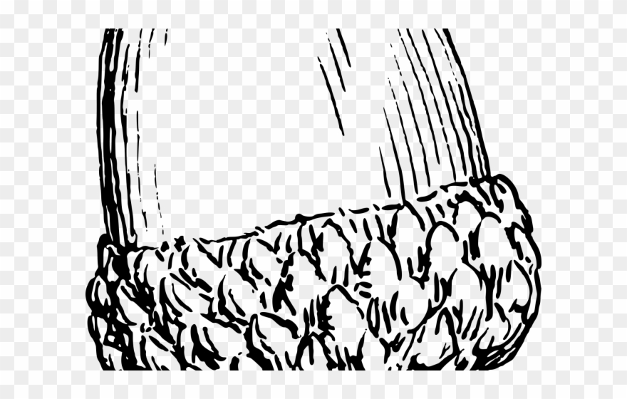 Acorn Clipart Drawn - Png Download