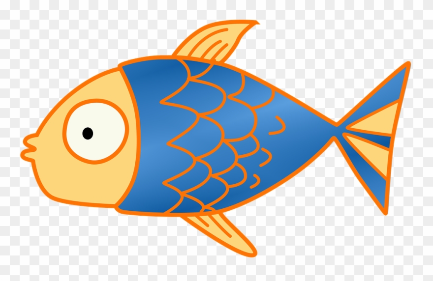 Clipart Of Gallery, Release And Fish - Png Download