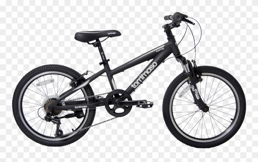 Tommaso Raptor 20" Clipart