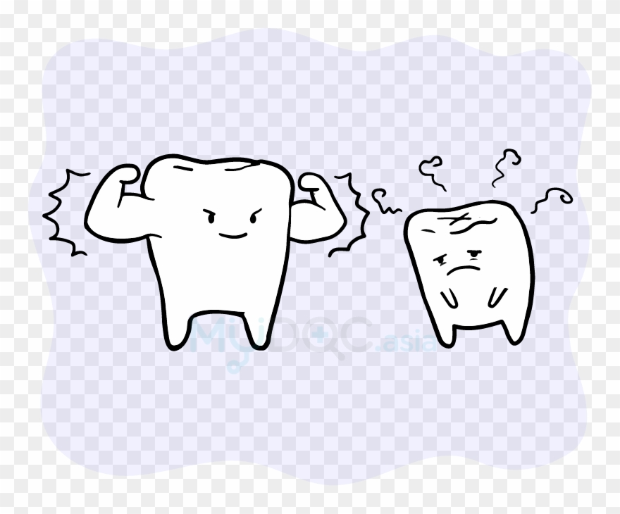 The Health And Strength Of Our Teeth Can Affect Our Clipart