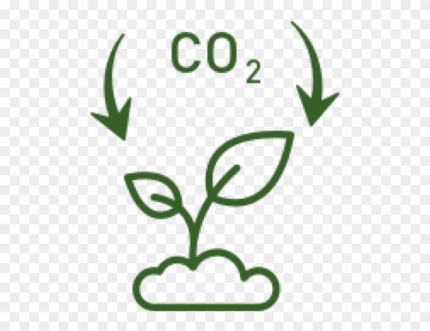 Carbon Sequestration Clipart
