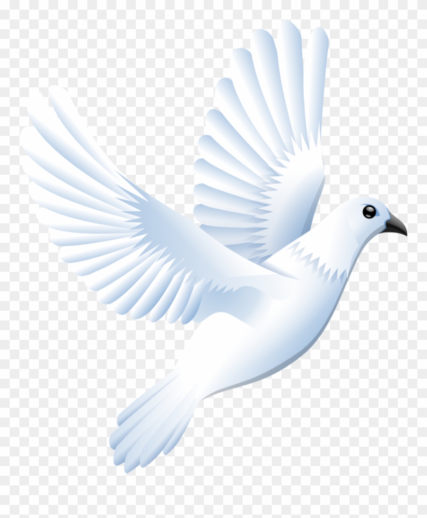 Dove Clipart Peace Prince - Png Download