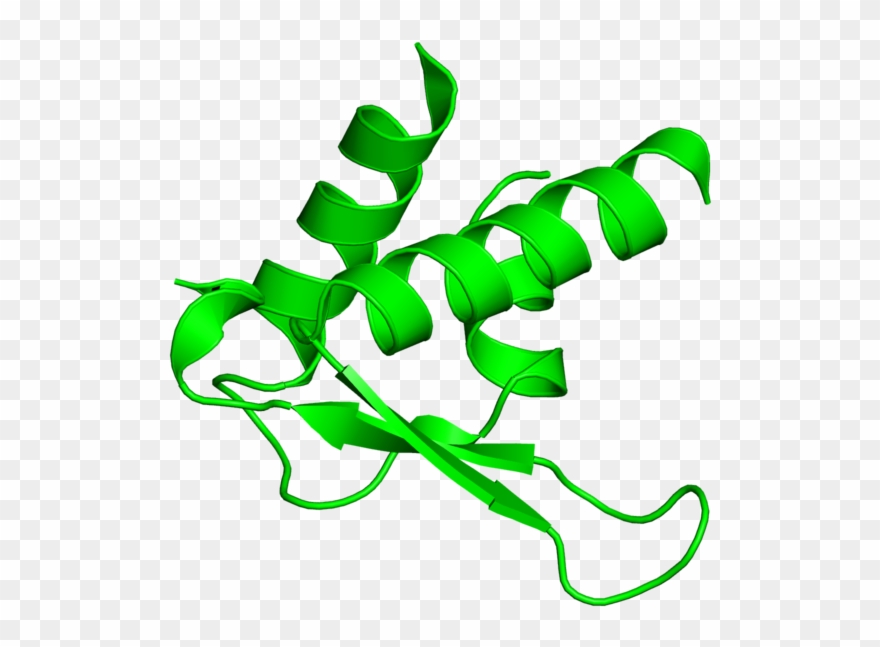 <div Class='caption-body'>1 Copy Of Cath Domain Clipart