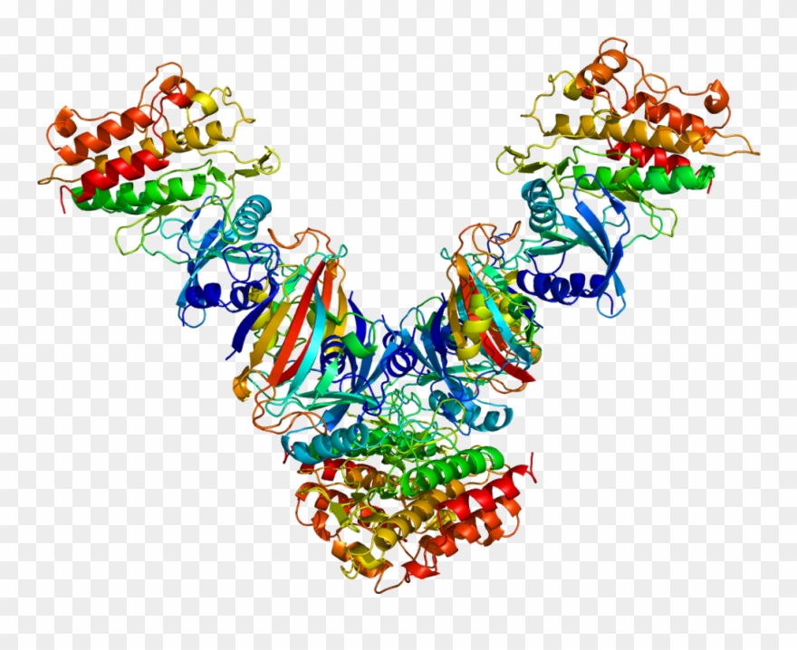 Tgif Clip Art - Png Download