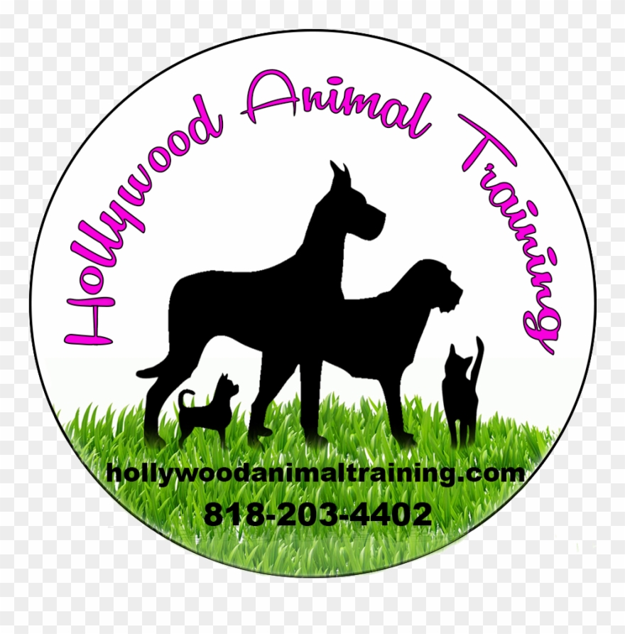 Hollywood Animal Training Clipart
