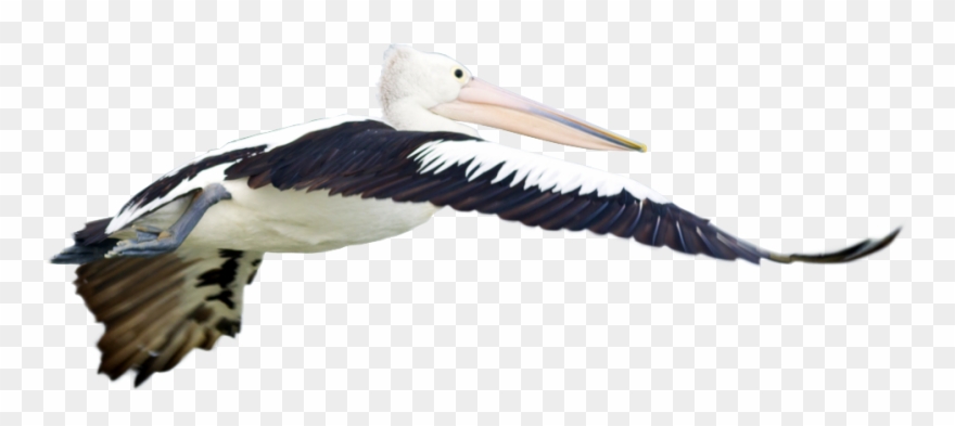 User Experience, User Interface, Website Design, Content Clipart