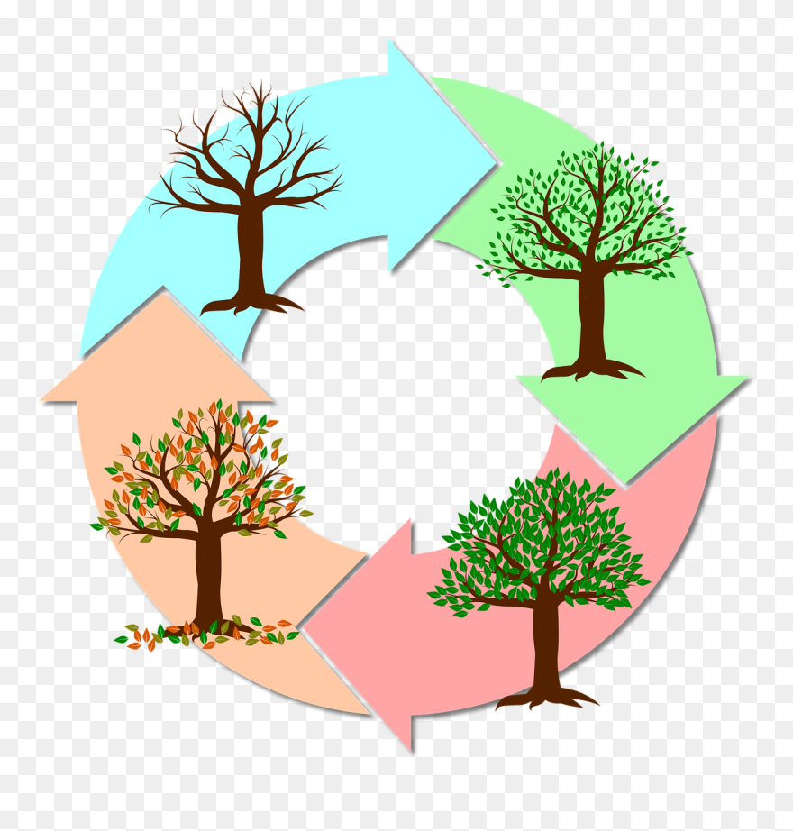 Quelles Fleurs Choisir Lors D'un Deuil Clipart