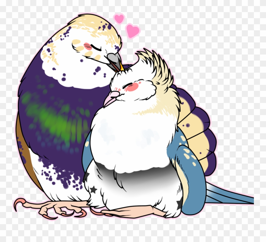 Animals / Yeehaw We're Cowboys / What Does That Even Clipart