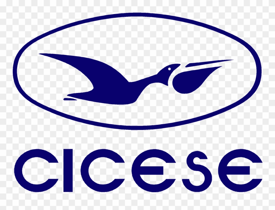 Anniversary Logos Clipart