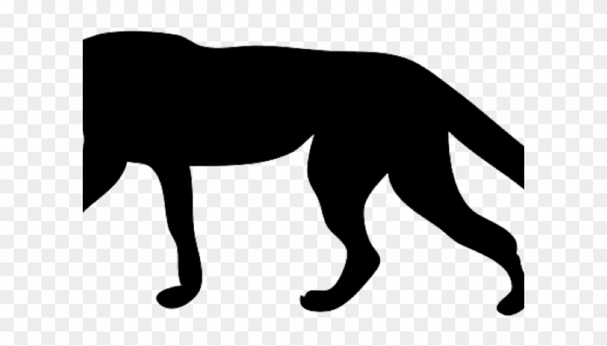 Eye Clipart Cheetah - Png Download