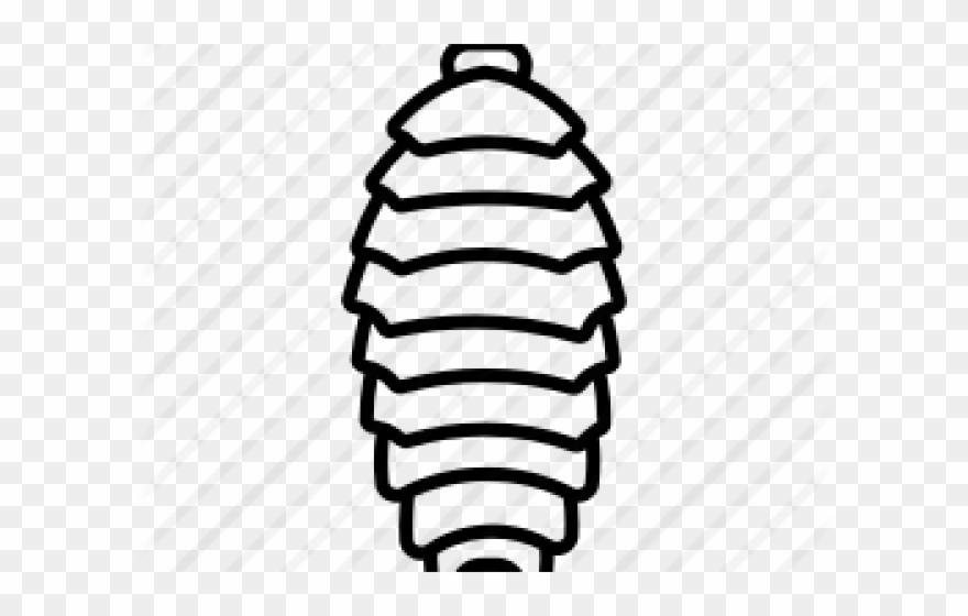 Bugs Clipart Woodlouse - Png Download