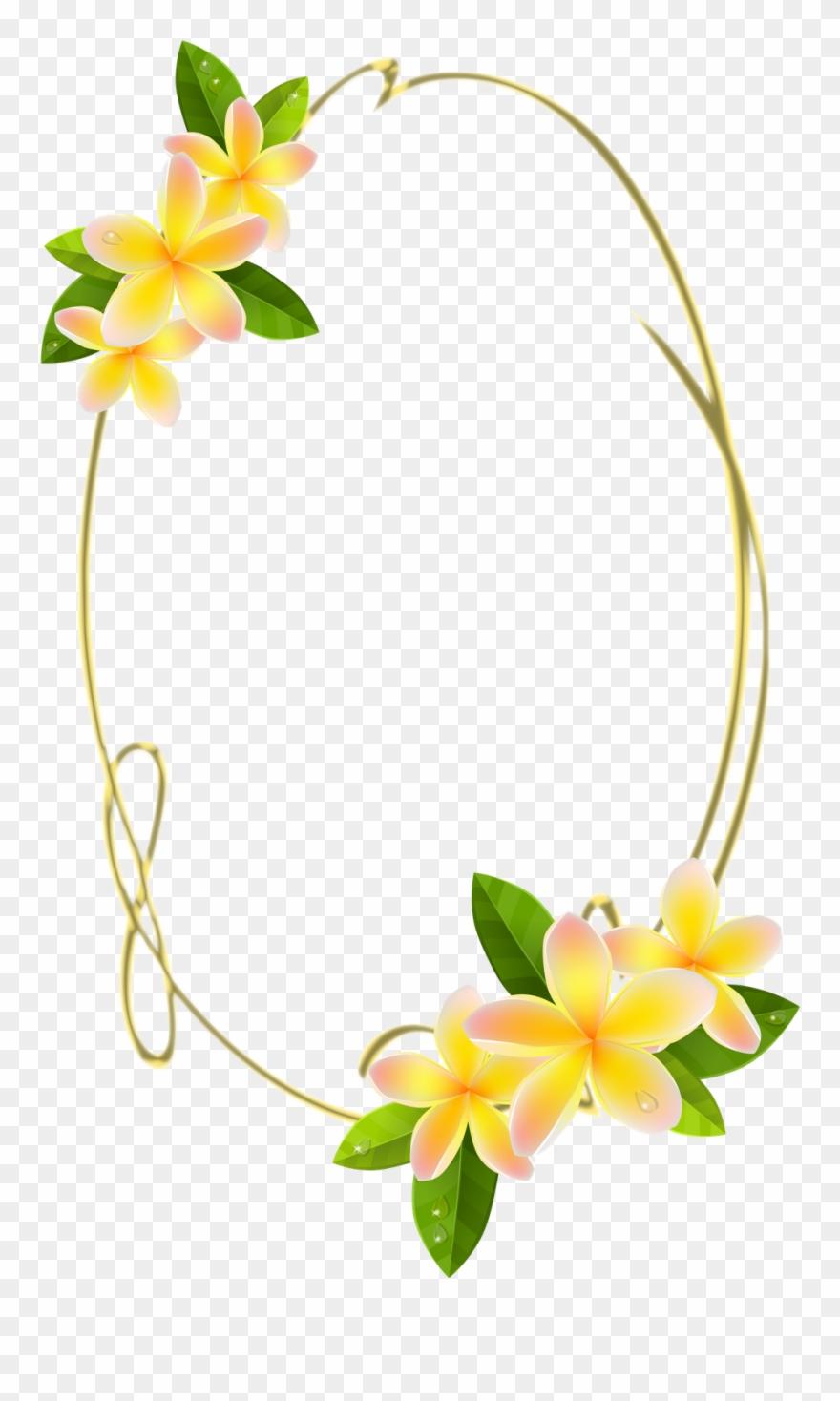 Frames Png Oval Com Flores Clipart