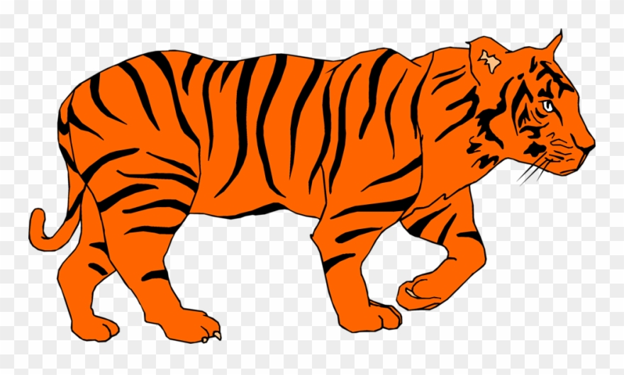 Clipart Of Tigers, Tiger And Palmer - Png Download