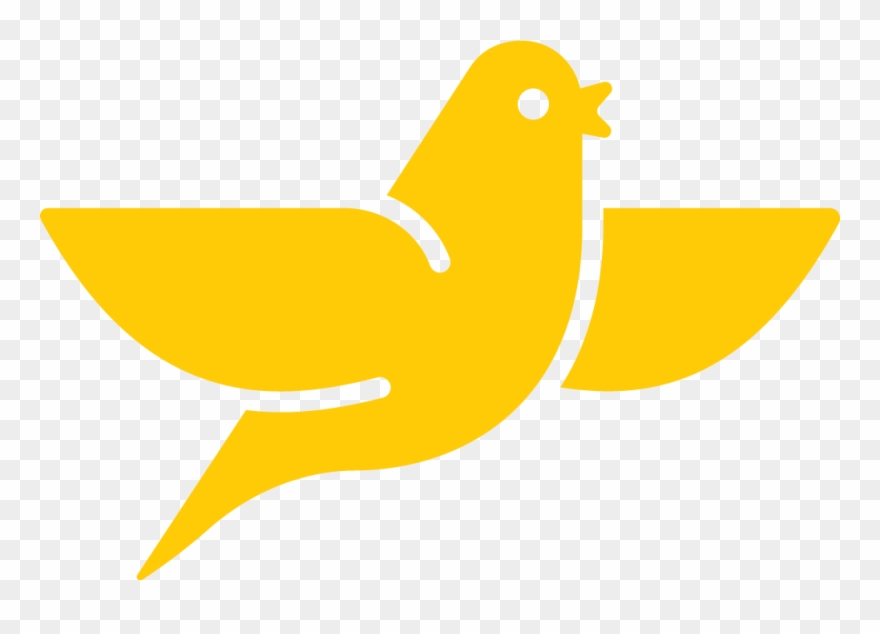 Canary Medical Inc Clipart