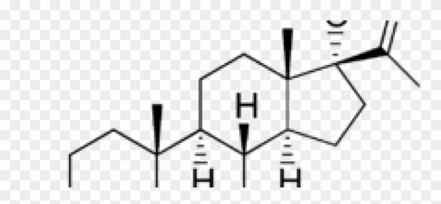 New Anemia Treatments Can Evolve From Acetate, The Clipart