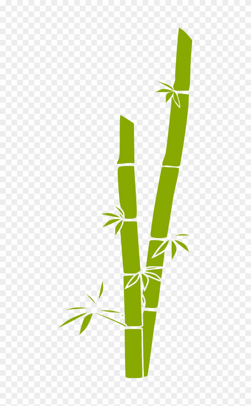 Bamboo Clipart - Png Download
